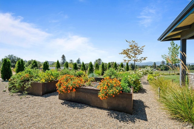 view of yard featuring a rural view