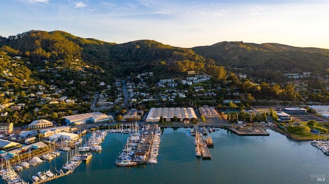 aerial view with a water and mountain view