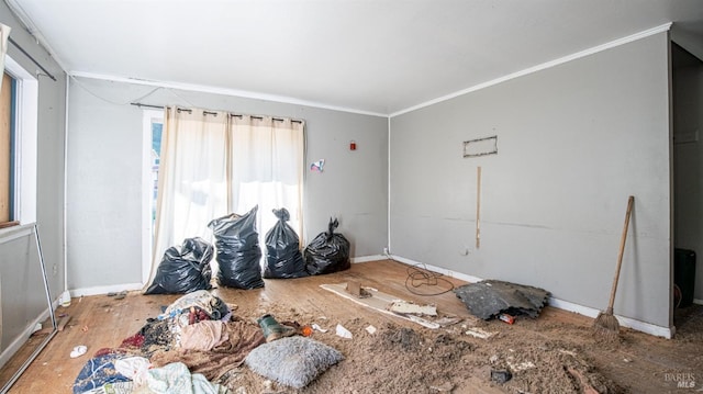 bedroom with crown molding