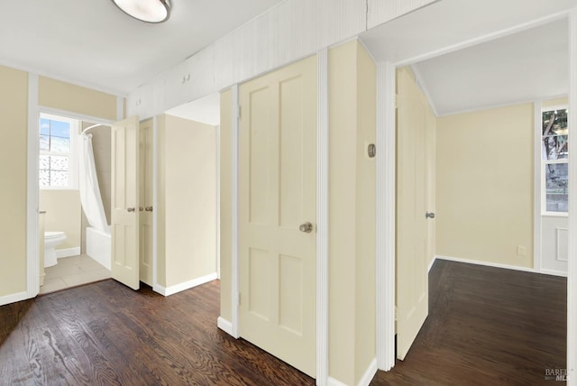 hall with dark hardwood / wood-style flooring