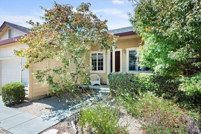 view of property hidden behind natural elements featuring a garage