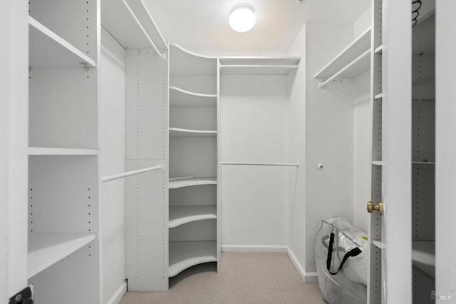 spacious closet with carpet flooring