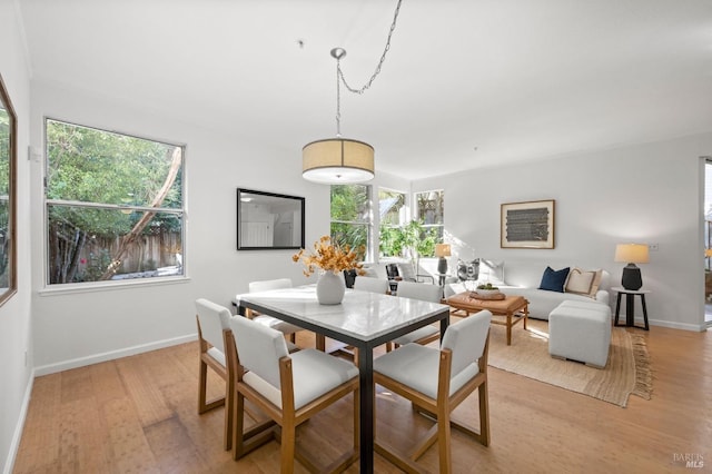 dining space with light hardwood / wood-style floors