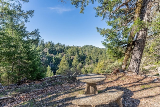 view of yard with a view of trees