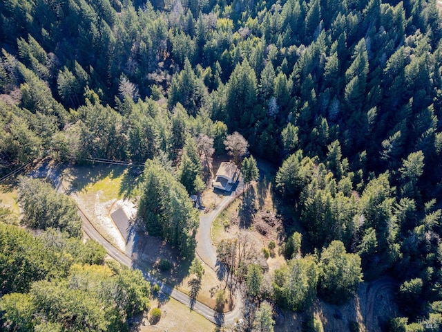 aerial view with a forest view