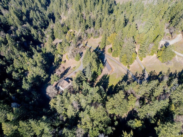 bird's eye view featuring a view of trees
