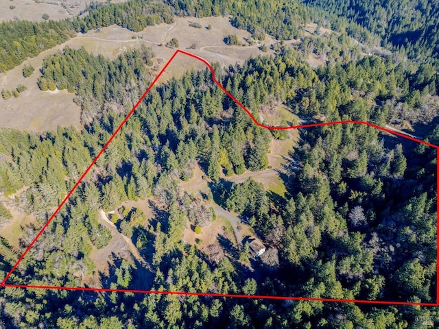 bird's eye view featuring a wooded view