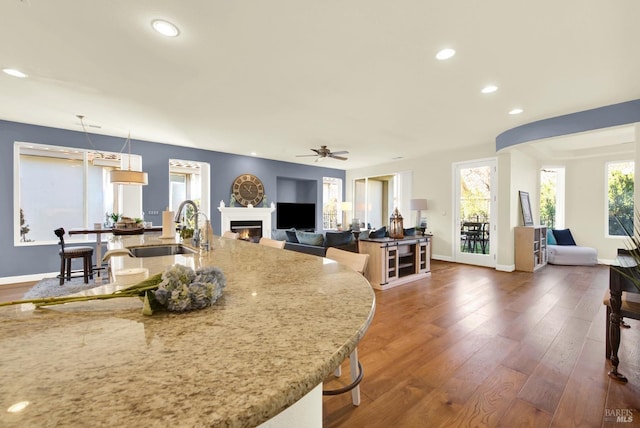 kitchen featuring a healthy amount of sunlight, dark hardwood / wood-style floors, and sink