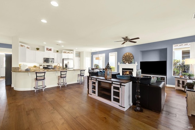 kitchen with white cabinetry, dark wood-type flooring, stainless steel appliances, and kitchen peninsula