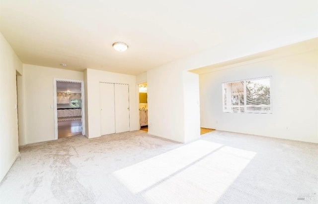 spare room featuring light carpet