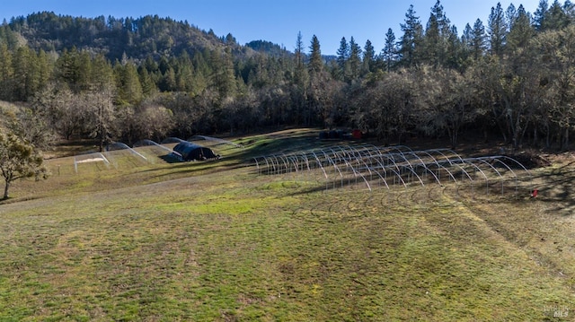 view of yard with a rural view and a mountain view