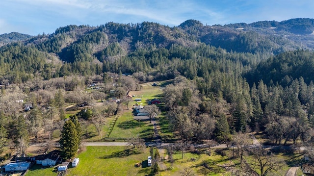 drone / aerial view with a mountain view