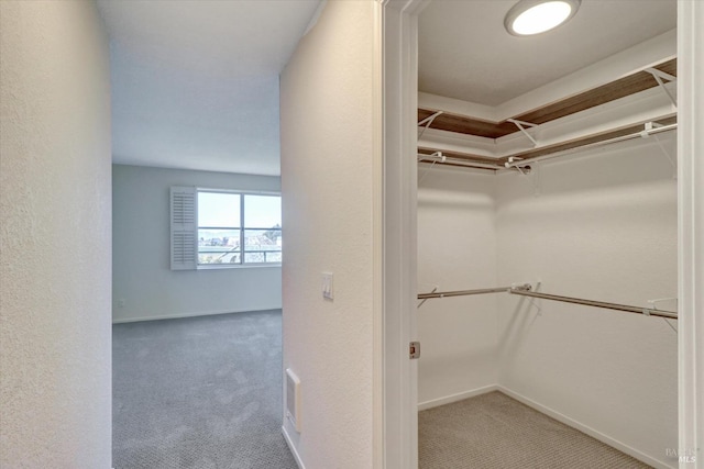 walk in closet featuring carpet floors