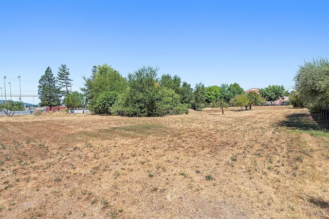 view of yard featuring a rural view