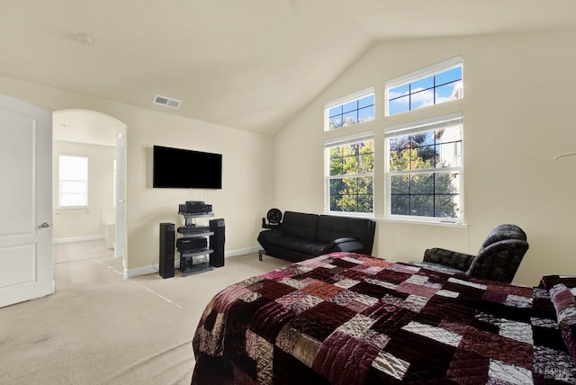 bedroom featuring lofted ceiling and light carpet