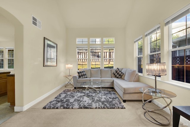 sunroom with lofted ceiling