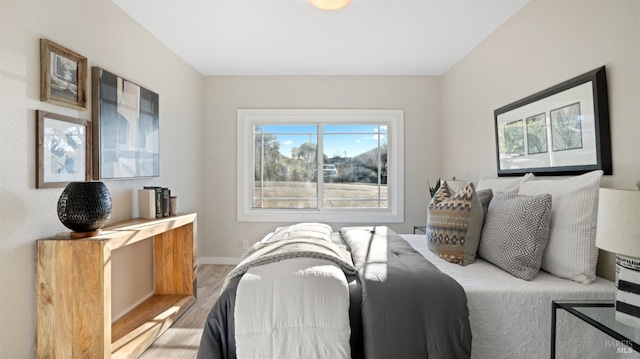 bedroom with wood-type flooring