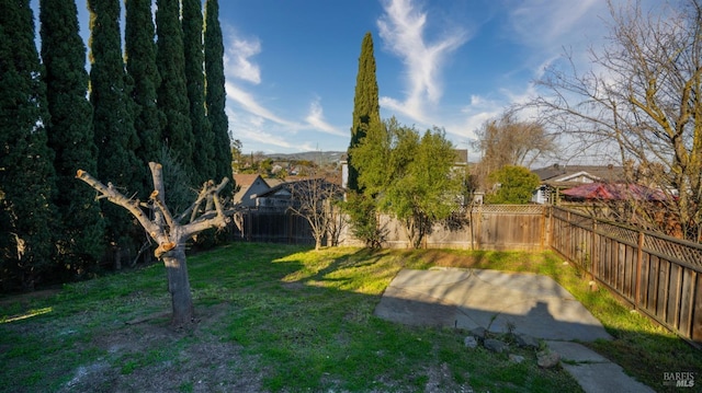 view of yard featuring a patio area