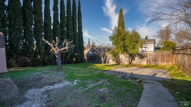 view of yard with a patio