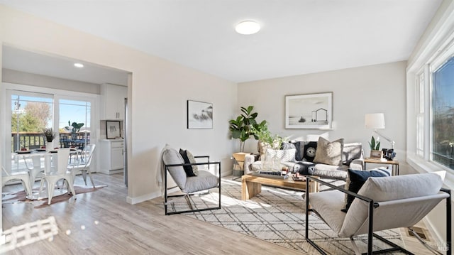 living room with light wood-type flooring