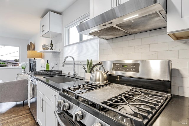 kitchen featuring dark countertops, a sink, stainless steel appliances, under cabinet range hood, and backsplash