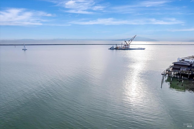 1300 Quarry Ct Unit 213, Richmond, CA 94801 - view of water feature