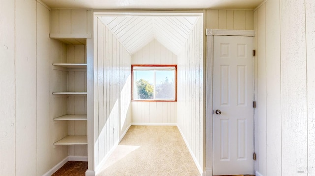 interior space with light carpet, built in shelves, and wood walls