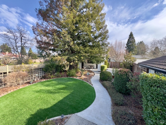 view of yard with a patio