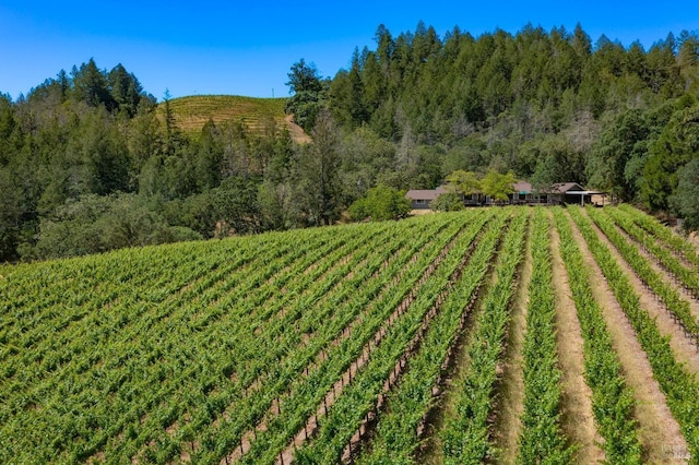 view of yard featuring a rural view