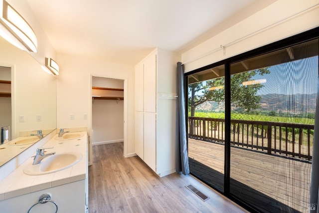 bathroom with vanity and hardwood / wood-style flooring