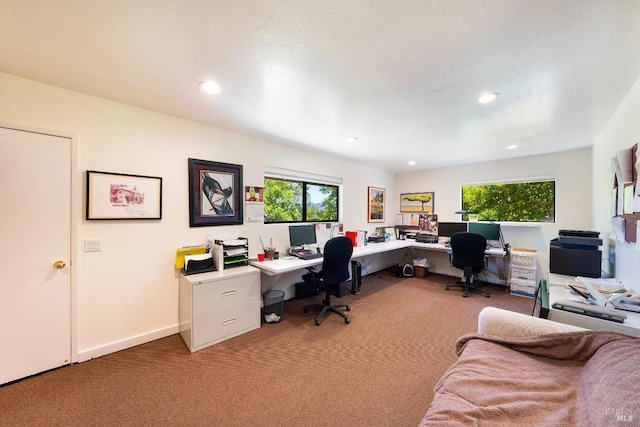 office space featuring carpet flooring