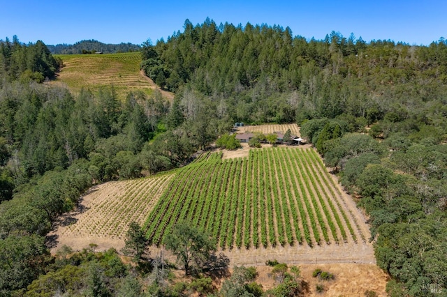 bird's eye view featuring a rural view