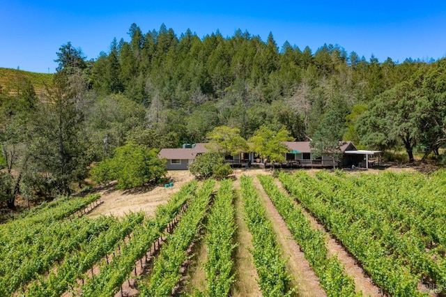 view of yard with a rural view