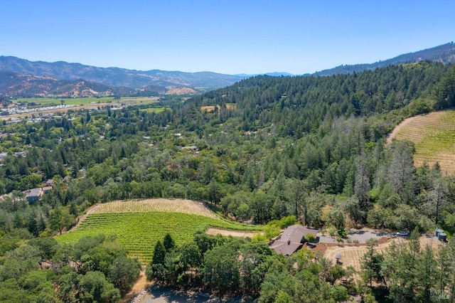 aerial view featuring a mountain view and a rural view