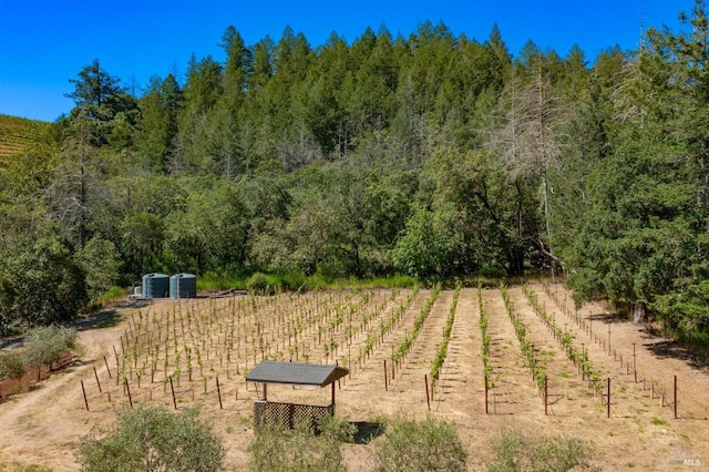 view of home's community with a rural view