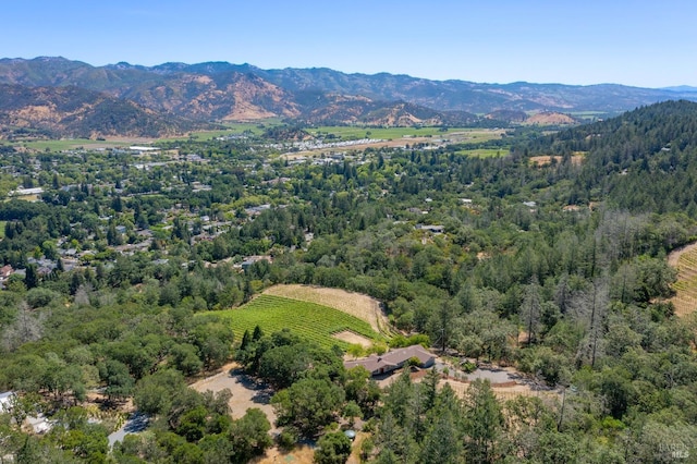 drone / aerial view with a mountain view