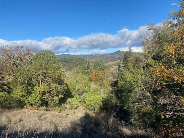 39050 Old Sherwood Rd, Laytonville CA, 95454 land for sale