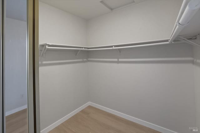 spacious closet featuring hardwood / wood-style flooring