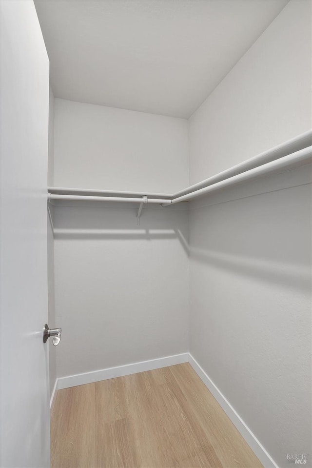 spacious closet featuring hardwood / wood-style floors