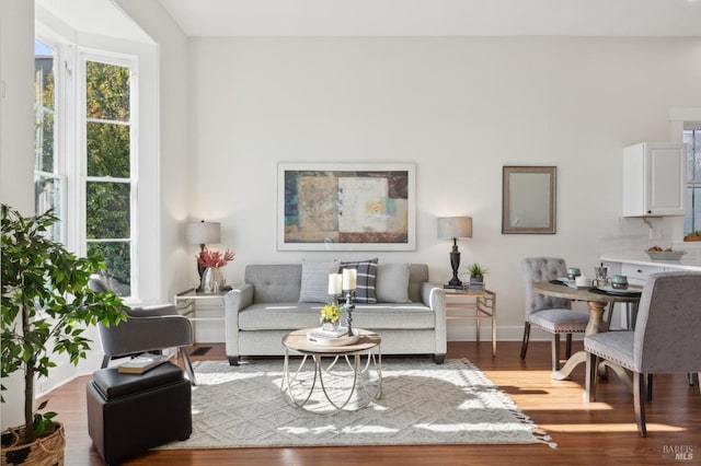 living room featuring wood-type flooring