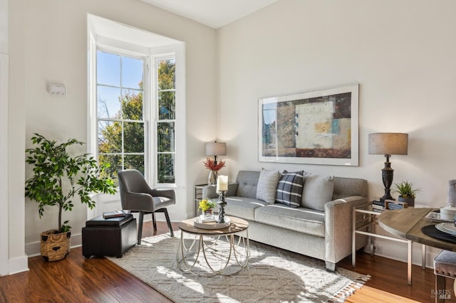 living room with wood-type flooring