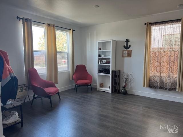 sitting room featuring dark hardwood / wood-style floors