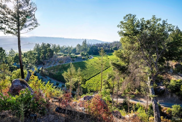 property view of mountains with a rural view