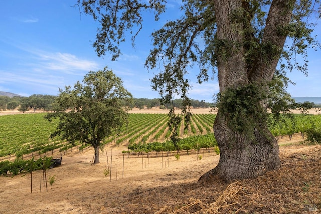 view of local wilderness featuring a rural view