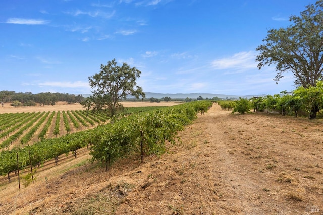 view of yard featuring a rural view