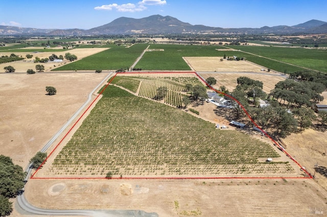 birds eye view of property with a mountain view and a rural view