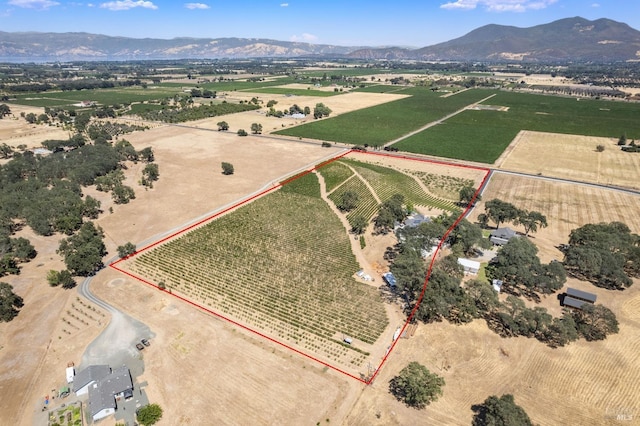 birds eye view of property featuring a mountain view and a rural view