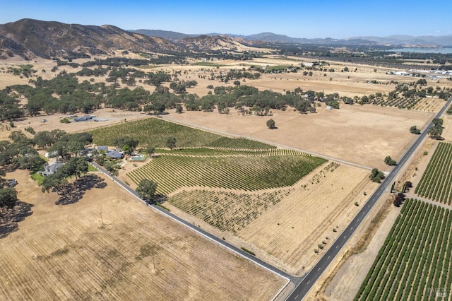 birds eye view of property with a rural view and a mountain view