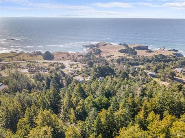 Listing photo 2 for 0 Bourns Gulch Rd, Gualala CA 95445