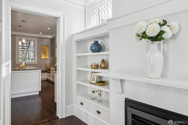 room details featuring crown molding, wood-type flooring, and built in features